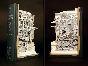 book-surgeon-carvings-art-brian-dettmer-29
